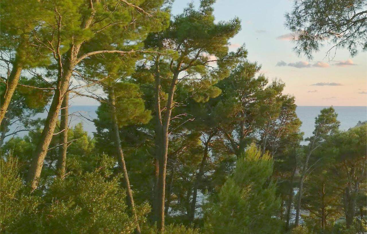 House In The Pines Villa Sutomore Luaran gambar